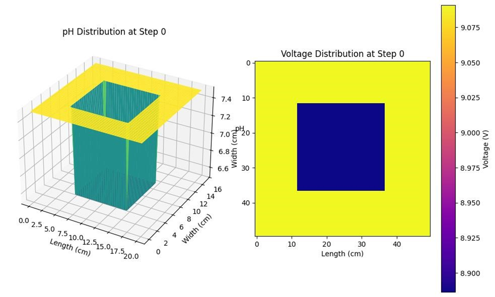 Step 0: Initial pH and Voltage Distribution