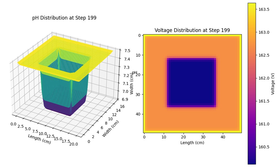 Step 199: Final pH and Voltage Distribution