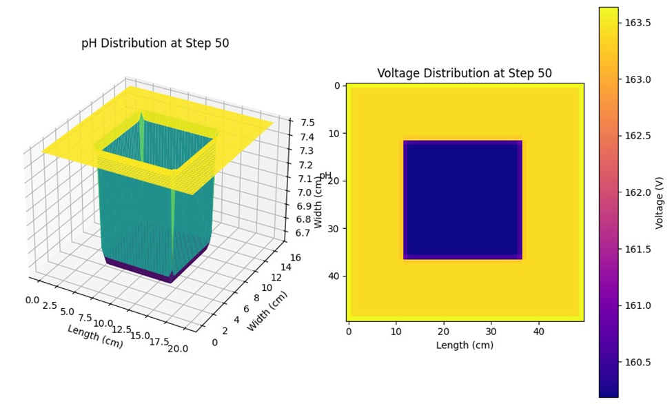 Step 50: pH and Voltage Distribution